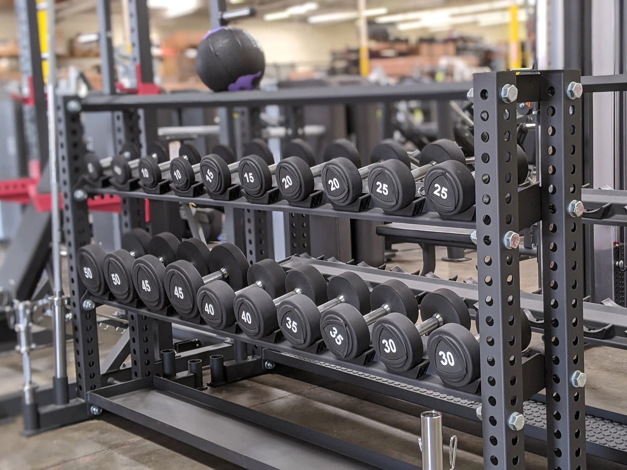 Dumbbell rack and gym equipment at Alpha Fitness Centre.